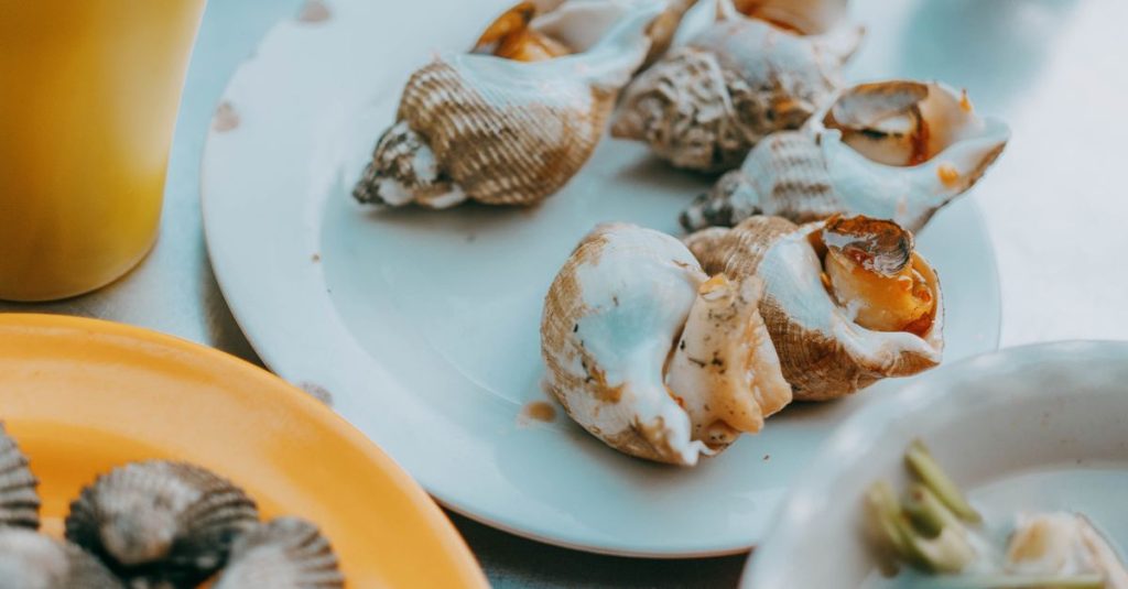 Comment cuire des bulots tendres à la maison 2 découvrez comment cuisiner les bulots parfaitement avec nos astuces et recettes simples pour un plat savoureux et authentique.