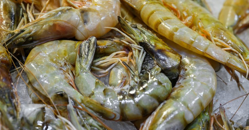 découvrez la quantité idéale de crevettes par personne pour réussir vos recettes et vos repas en toute simplicité.
