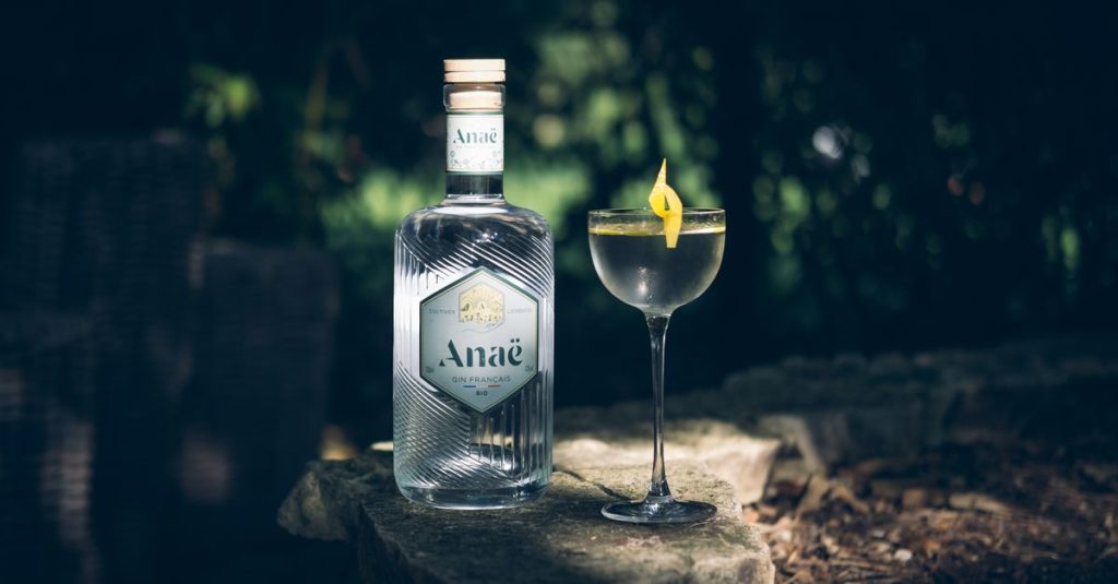 découvrez notre sélection des meilleurs gins, alliant qualité, saveurs uniques et traditions artisanales pour sublimer vos cocktails.