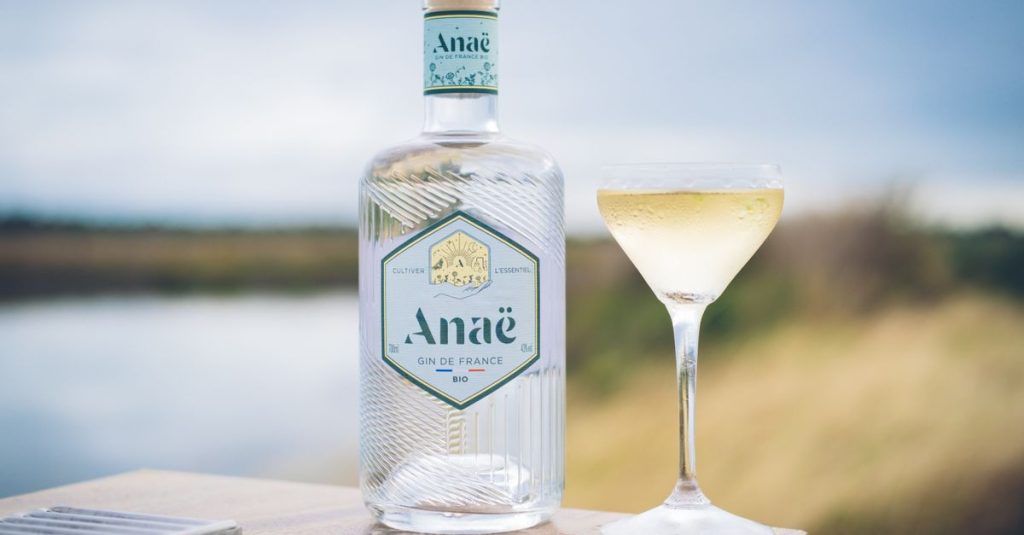 Quel gin choisir pour un gin tonic réussi notre sélection incontournable 2 découvrez tout sur le gin : son histoire, ses différentes variétés, ses saveurs uniques et des recettes de cocktails pour tous les goûts.