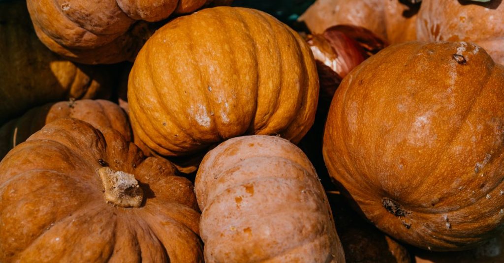 découvrez notre recette savoureuse de hachis parmentier à la citrouille, un plat réconfortant et gourmand parfait pour l'automne.